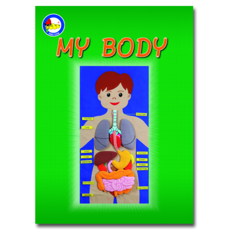 My Body Apron